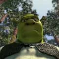 Shrek 17