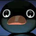 Pingu Stare