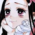 Nezuko 12