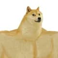 Swole Doge and Crying Cheems 1/2 (Swole Doge)