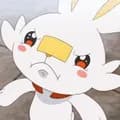 Scorbunny