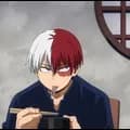 Todoroki Shoto 15