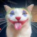 Joker Cat