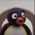 Pingu Shocked