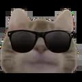 Cool cat #1