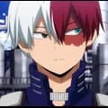 Todoroki Shoto 13