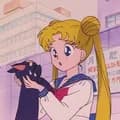 Sailor Moon 12