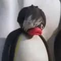 Pingu Emo