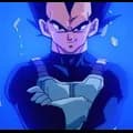 Vegeta 7