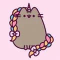 Pusheen Unicorn Hair