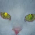 White Cat With Yellow Eyes