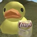 duck eating chips