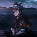 Black Clover 14