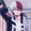 Todoroki Shoto 11