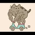 Pusheen 10