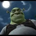 Shrek 12