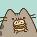 Pusheen 4