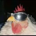 Cool Chicken