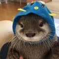 Otter Fish