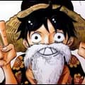 One Piece 12