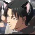 Levi Neko