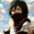 Mikasa Scarf