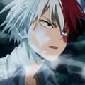 Todoroki Shoto 2