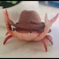 Crab Cowboy