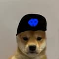 Discord Dog