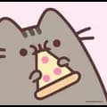 Pusheen 15