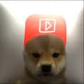 YouTube Dog