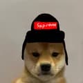 Supreme Hat Dog Remake