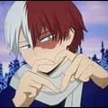 Todoroki Shoto 17